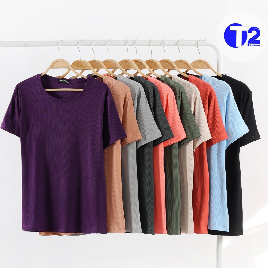 تیشرت بیگ سایزبرشکا یقه گرد پک رنگی (3131)