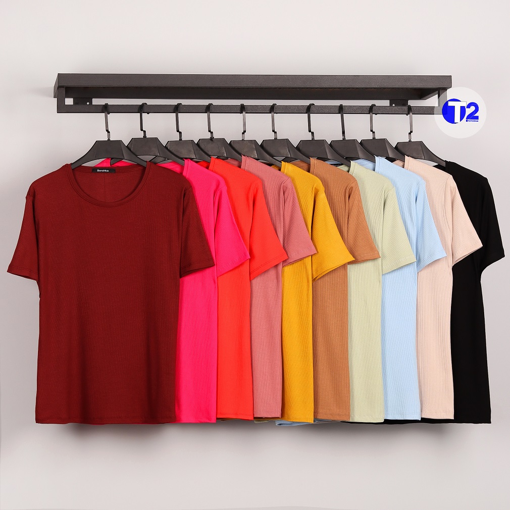 تیشرت بیگ سایز برشکا رنگی (2446)