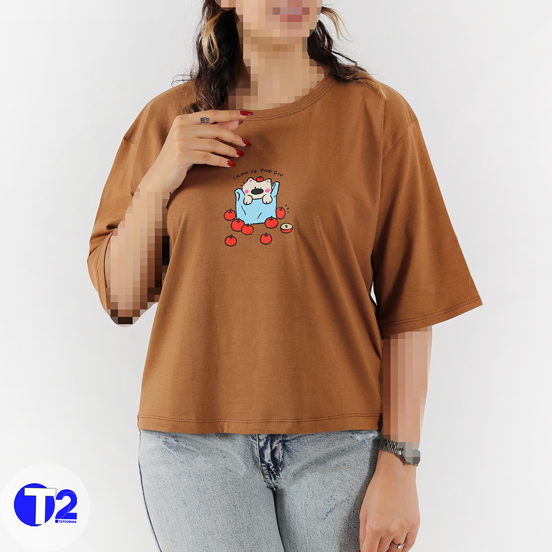 تیشرت باکسی اپل کت (3519)