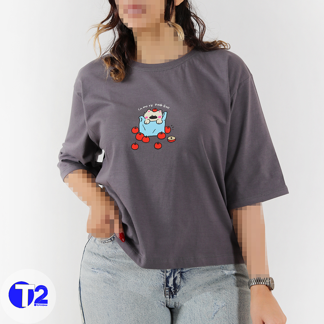 تیشرت باکسی اپل کت (3519)