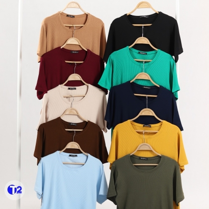 تیشرت بیگ سایزبرشکا ده رنگ (3065)